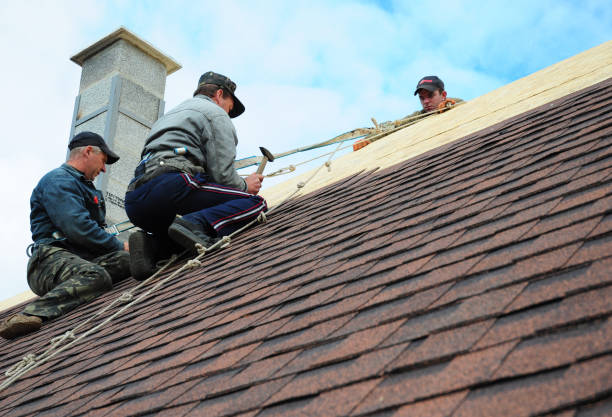 Best Metal Roofing Contractor  in El Dorado, KS